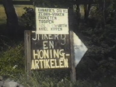 1992 Benningbroek: Klaas Verlaat - kanaries en omkerij.